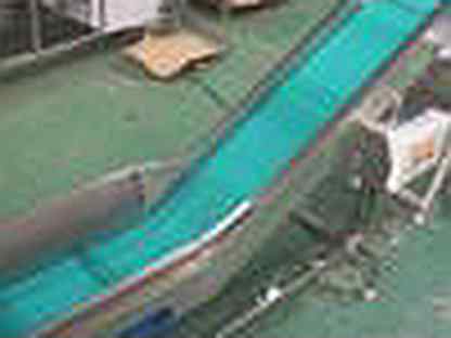 Линия Vega Horizontal Fruit Vegetable Weighting Packing Line